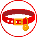 DOG COLLAR (COLLAR)